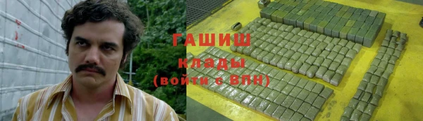 ешки Бородино