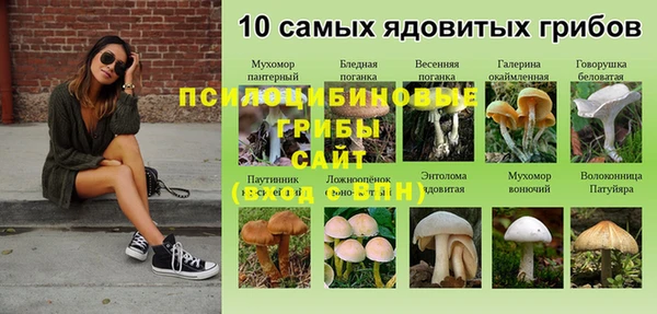 стаф Богородск