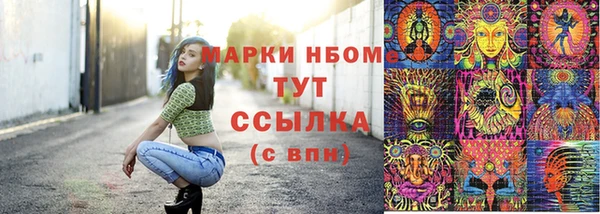 стаф Богородск