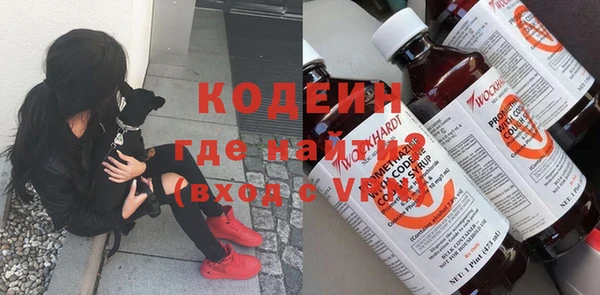 ешки Бородино