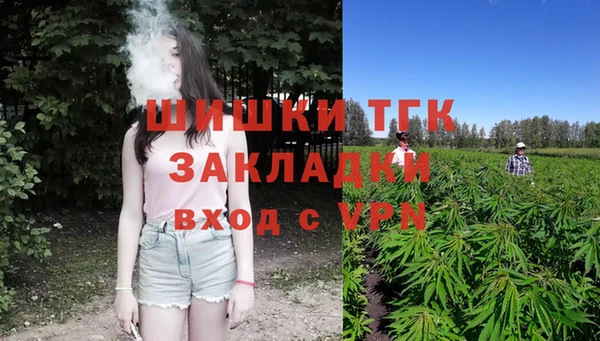 стаф Богородск