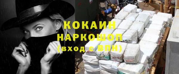 ешки Бородино