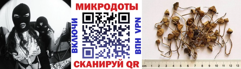 Галлюциногенные грибы мицелий  сколько стоит  Красновишерск 